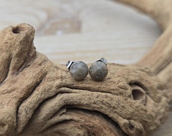 Zarte Petoskey-Ohrstecker. 6 mm. Fossilisierte Koralle. Geschenkidee: Hochzeit, Jahrestag, Weihnachten, Muttertag, Geburtstag.