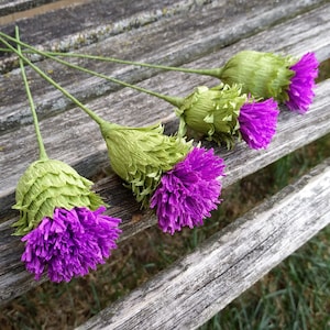 Paper Thistle. Perfect for First Anniversary, Weddings, Birthdays. Unique Gift. CUSTOM Orders Welcome