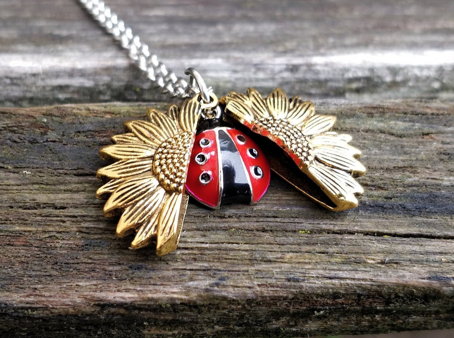 Miraculous ladybug 2024 best friend necklaces