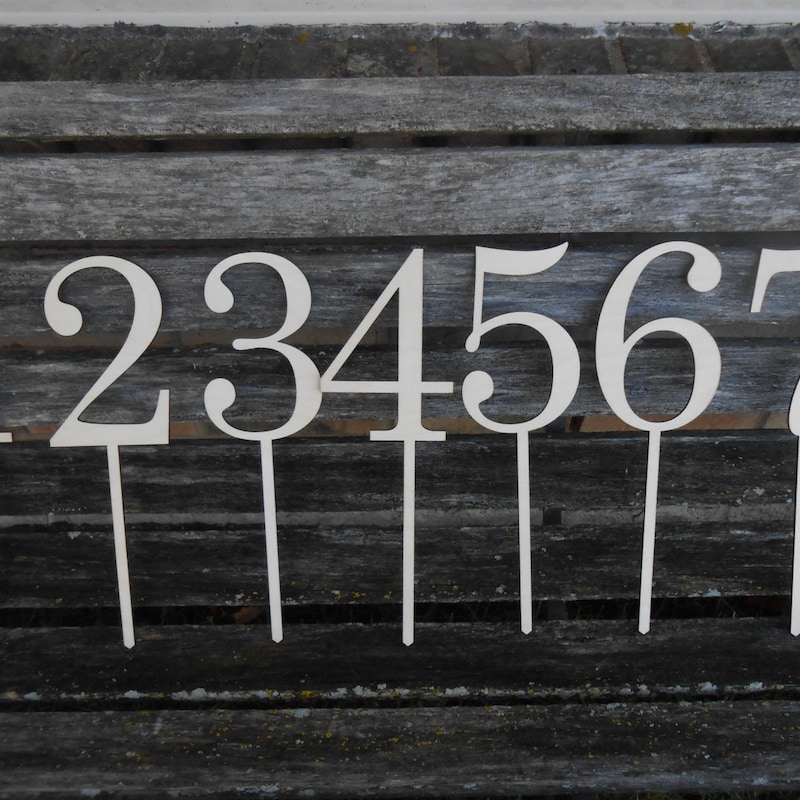 Birch & Bug Wooden Numbers