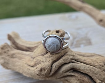 Petoskey Stone Ring. 12mm, Silver Colored. Fossilized Coral. Wedding, Christmas Gift, Anniversary Gift. Michigan Gift. Stainless Steel