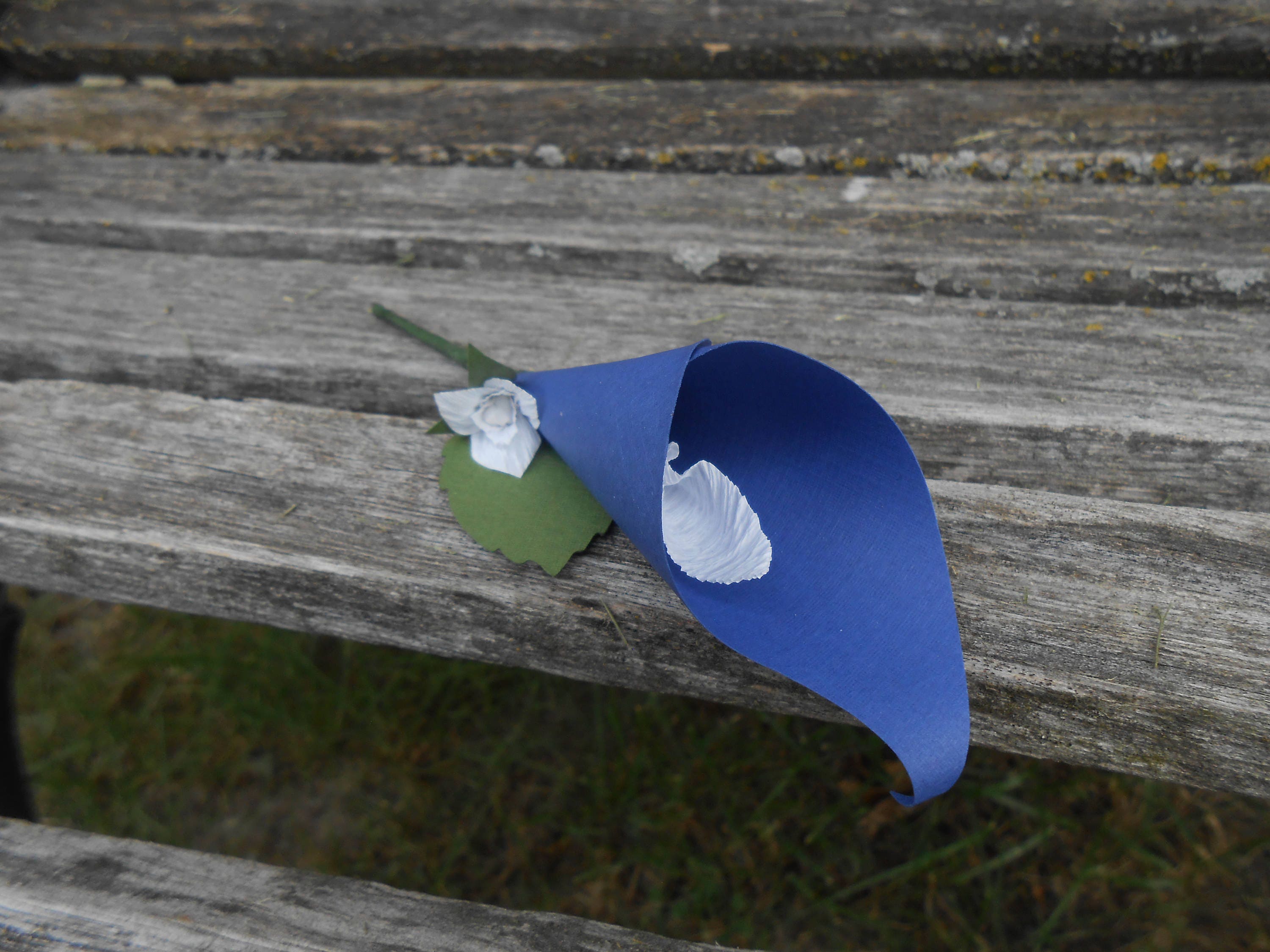 Calla Lily Boutonnieres Choose Your Colors Any Amount Etsy