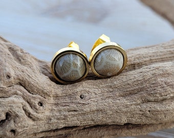 Petoskey Stone Earrings. 10mm Stud Earrings. Fossilized Coral. Wedding, Anniversary Gift, Christmas Gift, Gift For Mom, Birthday Gift.