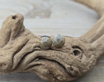 Petoskey-Stein-Ohrstecker. 8 mm. Fossilisierte Koralle. Geschenkidee: Hochzeit, Jahrestag, Weihnachten, Muttertag, Geburtstag.