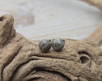 Zarte Petoskey-Ohrstecker. 6 mm. Fossilisierte Koralle. Geschenkidee: Hochzeit, Jahrestag, Weihnachten, Muttertag, Geburtstag.