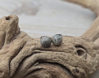 Zarte Petoskey-Ohrstecker. 6 mm. Fossilisierte Koralle. Geschenkidee: Hochzeit, Jahrestag, Weihnachten, Muttertag, Geburtstag.