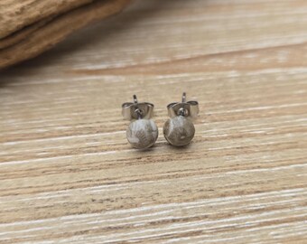 Zarte Petoskey-Ohrstecker. 6 mm. Fossilisierte Koralle. Geschenkidee: Hochzeit, Jahrestag, Weihnachten, Muttertag, Geburtstag.