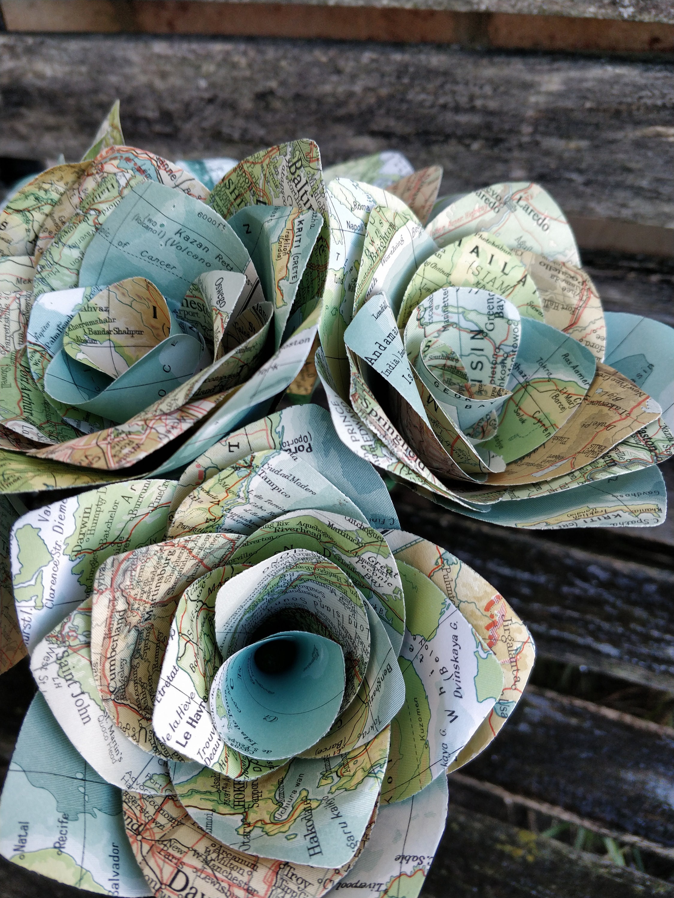 Vintage Map Paper Roses