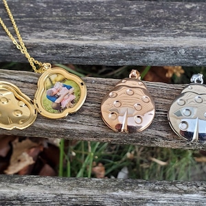 May include: Three ladybug-shaped locket necklaces. One is gold with a photo inside, one is rose gold, and one is silver.
