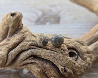 Petoskey Stone Earrings. 8mm Stud Earrings. Fossilized Coral. Wedding, Anniversary Gift, Christmas Gift, Gift For Mom, Birthday Gift.