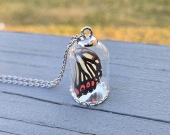 May include: A silver chain necklace with a glass pendant containing a preserved black and white butterfly with red markings.