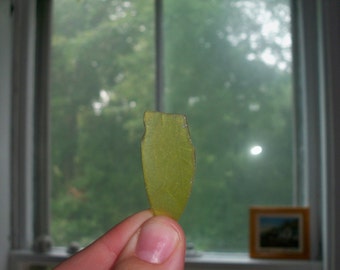 RARE Yellow Seaglass with LEAF IMPRINT - Calling all Sea Glass Lovers