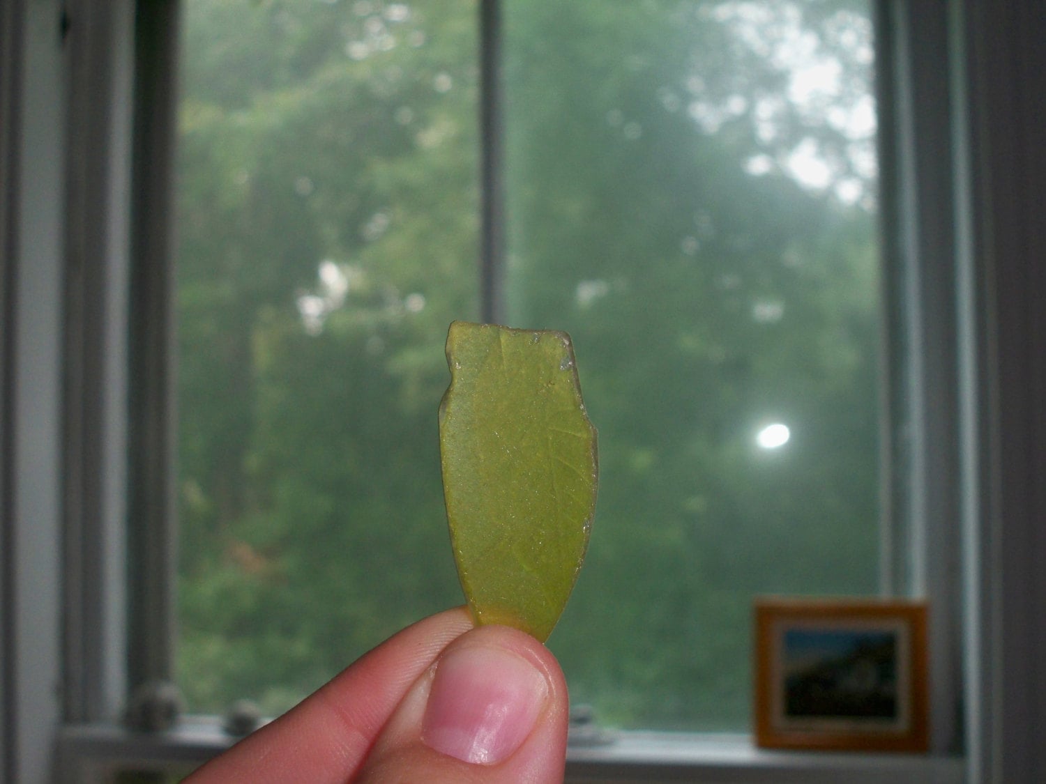 RARE Yellow Seaglass with LEAF IMPRINT - Calling all Sea Glass Lovers