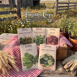 Puede incluir: Cinco paquetes de semillas de la colección Forgotten Crops que incluyen Good King Henry, Corn Salad, Orach, Sorrel y Lamb's Quarters. Cada paquete muestra una ilustración y nombre, dispuestos en una caja de madera con un paño de cuadros rojos.