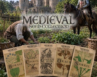 Medieval Garden Seed Collection | Rare Edible Medieval Plants | Good King Henry, Orach, Rampion, Salsify