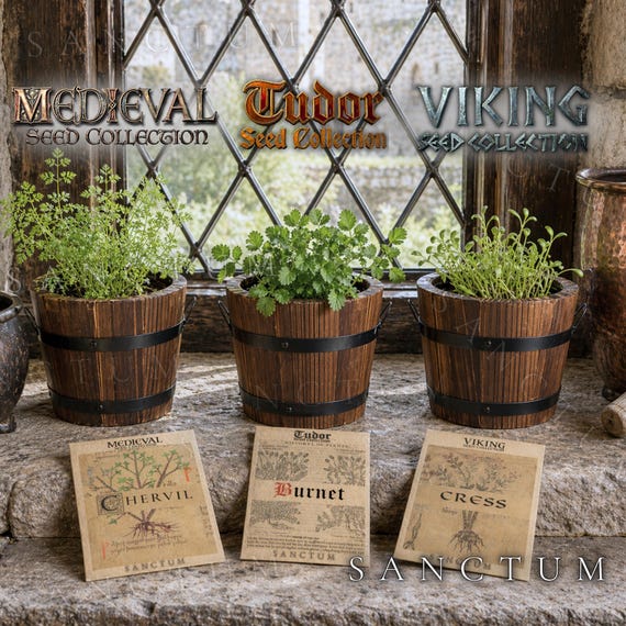 Historical Kitchen Herb Seed Growing Sampler | Small Spaces | Wooden Planters | Medieval Viking Plants Seasonings