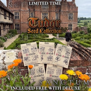 May include: A Tudor Seed Collection set featuring five paper packets labeled Salsify, Corn Salad, Black Salsify, Calendula, and Burnet. The packets are displayed on a brick wall with orange calendula flowers and dark root vegetables nearby.