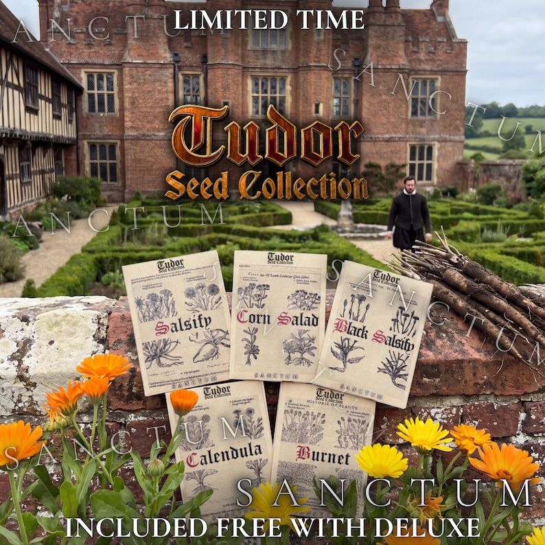May include: A Tudor Seed Collection set featuring five paper packets labeled Salsify, Corn Salad, Black Salsify, Calendula, and Burnet. The packets are displayed on a brick wall with orange calendula flowers and dark root vegetables nearby.