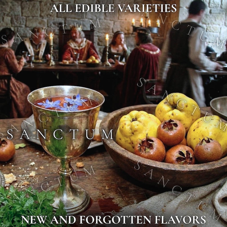 May include: A silver goblet filled with liquid and blue borage flowers sits beside a wooden bowl containing yellow quinces and brown medlar fruits. The text ALL EDIBLE VARIETIES and NEW AND FORGOTTEN FLAVORS is visible on the image.