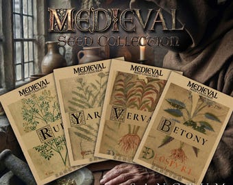 Medieval Leechcraft Seed Collection | 4 Rare Old-World Apothecary Medieval Flowers