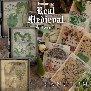 May include: A collection of rectangular seed packets and framed prints featuring botanical illustrations and medieval-style text. The packets are labeled with names like Orach, Borage, Quince, and Chervil, displaying detailed plant drawings on aged, parchment-colored paper.