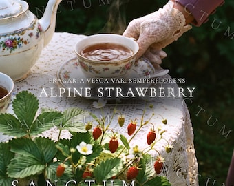 Alpine Strawberry Historical Garden Seeds | Wild Style Petite Red Sweet Heirloom Strawberries Fragaria vesca