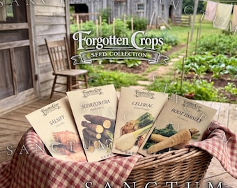 Forgotten Roots Garden Seed Collection | 4 Rare Edible Heritage Crops | Salsify, Scorzonera Seeds