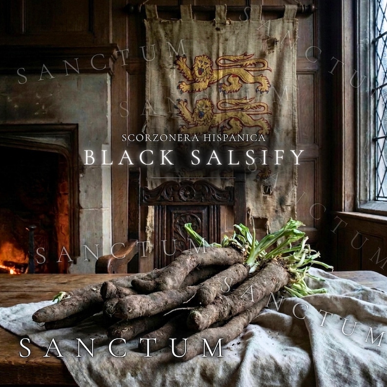 May include: A bundle of black salsify roots with dark, textured skin and green leafy tops resting on a light-colored linen cloth. The text SCORZONERA HISPANICA BLACK SALSIFY is visible above the roots, with a tapestry featuring lions behind.