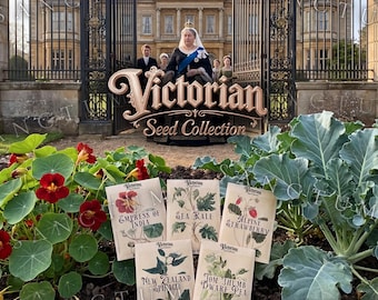 Victorian Garden Seed Collection | 5 Rare Edible Victorian Plants | Unique Herbs Berries & Greens | Sea Kale