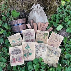 May include: A collection of eight seed packets labeled Medieval Seed Collection, featuring illustrations of Sorrel, Orach, Borage, Chervil, Quince, Good King Henry, Medlar, and Rampion, alongside a small wooden bucket, a burlap pouch, and wooden plant markers.