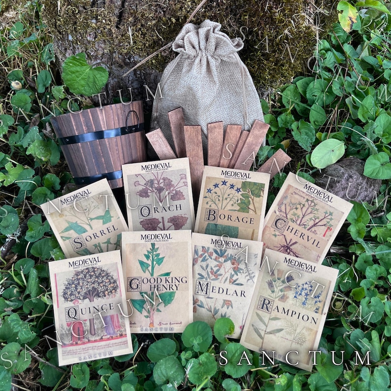 May include: A collection of eight seed packets labeled Medieval Seed Collection, featuring illustrations of Sorrel, Orach, Borage, Chervil, Quince, Good King Henry, Medlar, and Rampion, alongside a small wooden bucket, a burlap pouch, and wooden plant markers.