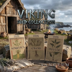 Viking Garden Seed Collection | 3 Rare Edible Norse Plants | Herbs & Greens Unique Historic Varieties image 1