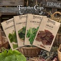 Forgotten Greens Garden Seed Collection | 4 Edible Heritage Greens | Good King Henry, Orach Seeds