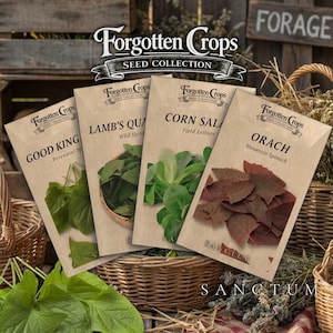 May include: Four seed packets from the "Forgotten Crops Seed Collection" are displayed, each with a different variety: Good King, Lamb's Quarters, Corn Salad, and Orach. The packets are tan with green and red plant illustrations. The background includes baskets and a wooden sign.