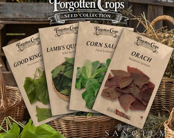 Forgotten Greens Garden Seed Collection | 4 Edible Heritage Greens | Good King Henry, Orach Seeds
