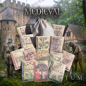 May include: A collection of seed packets labeled Medieval Seed Collection, featuring botanical illustrations of plants like Rampion, Calendula, and Quince, arranged in front of a beige fabric drawstring pouch against a castle backdrop.