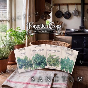 May include: Four seed packets labeled Forgotten Crops Seed Collection featuring Lovage, Salad Burnet, Summer Savory, and Chervil. The packets are arranged in a wicker basket next to potted herbs on a wooden surface with a striped cloth.