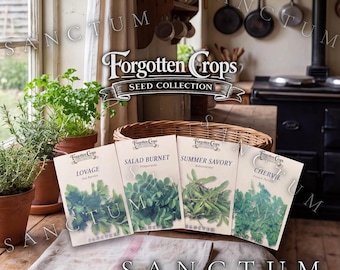 Forgotten Herbs Garden Seed Collection | 4 Unique Edible Heritage Herbs | Lovage, Chervil, Burnet Seeds