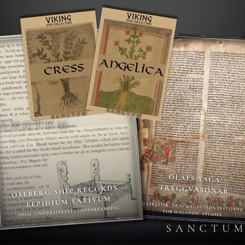 Viking Garden Seed Collection | 3 Rare Edible Norse Plants | Herbs & Greens Unique Historic Varieties image 3
