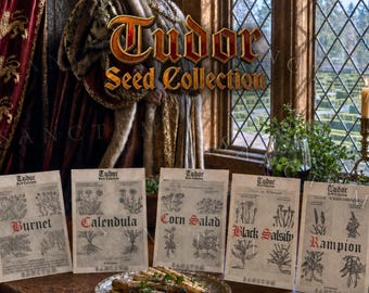 Tudor Garden Seed Collection | 4 Rare Edible Renaissance Plants | Vegetables & Greens Unique Varieties Salsify