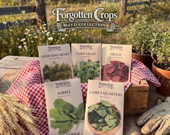 Forgotten Greens Garden Seed Collection | 5 Rare Edible Heritage Greens | Good King Henry, Sorrel, Orach