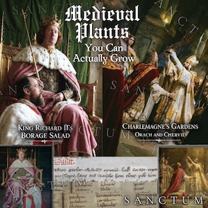May include: A digital collage featuring historical paintings of royalty and clergy, with text overlays reading Medieval Plants You Can Actually Grow, King Richard II's Borage Salad, and Charlemagne's Gardens Orach and Chervil, alongside a medieval manuscript.