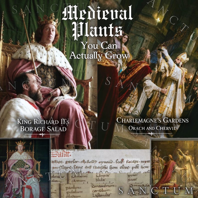 May include: A digital collage featuring historical paintings of royalty and clergy, with text overlays reading Medieval Plants You Can Actually Grow, King Richard II's Borage Salad, and Charlemagne's Gardens Orach and Chervil, alongside a medieval manuscript.