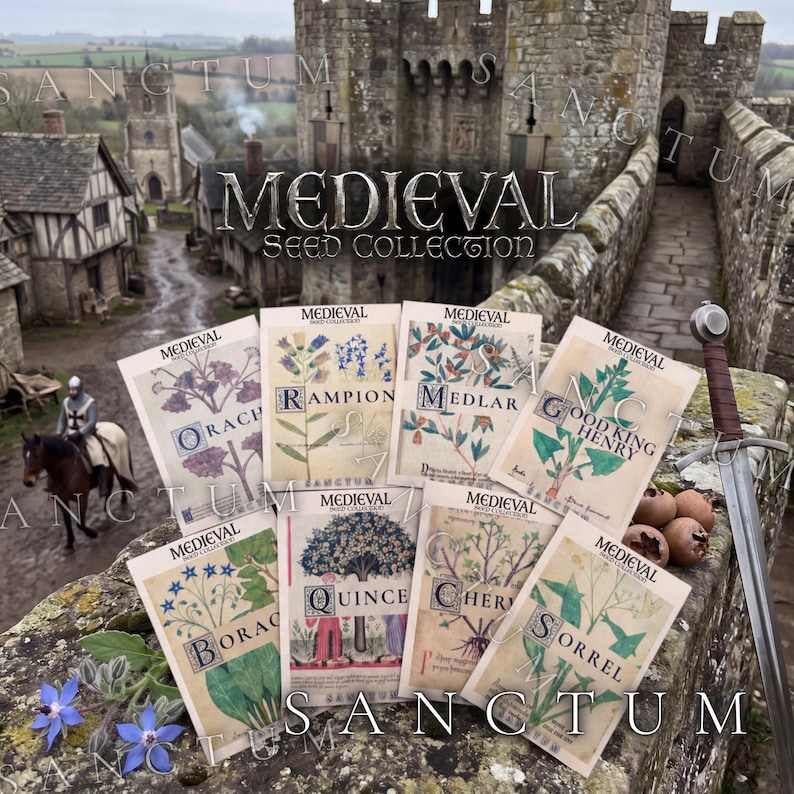 Medieval Garden Seed Collection | 8 Rare Edible Medieval Plants | Good King Henry, Rampion, Orach, Medlar image 1