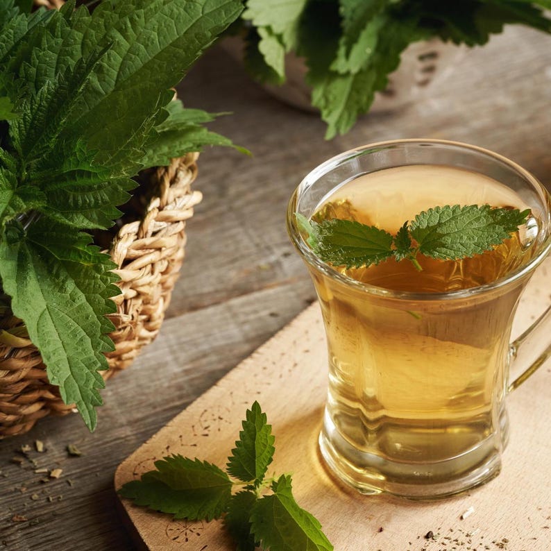 May include: A clear glass mug filled with light amber herbal tea, garnished with a fresh green nettle leaf floating on the surface. Beside the mug sits a woven wicker basket overflowing with vibrant green nettle leaves and stems.