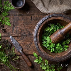 May include: A dark wooden mortar and pestle containing fresh green herbs, accompanied by a small metal knife with a wooden handle and a small dark bowl, all arranged on a rustic wooden surface with a piece of textured brown fabric.