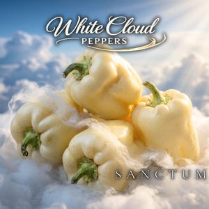 White Cloud Bell Pepper Seeds | Rare White Sweet Heirloom Unique Variety for Gardens, Containers