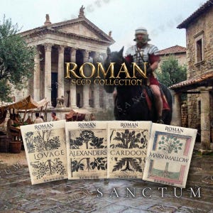 Puede incluir: Cuatro paquetes de semillas rectangulares etiquetados como Roman Seed Collection con ilustraciones botánicas de levístico, esmirnio, cardo y malvavisco. Los paquetes están alineados frente a un templo romano y un soldado a caballo.