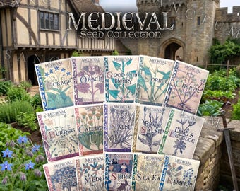 Medieval Garden Seed Collection | Rare Edible Medieval Plants | Good King Henry, Skirret, Salsify