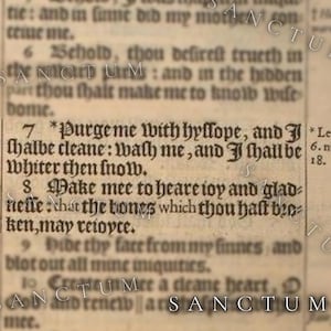 Bible Garden Seed Collection | 4 Edible Faith Inspired Plants | Grow God's Scripture Unique Herbs & Vegetables image 3